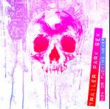 Trailer Park Sex : Now or Fucking Never